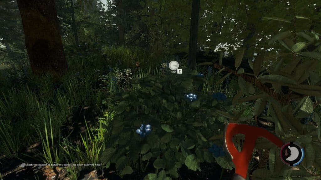 The Forest - essbare Beeren