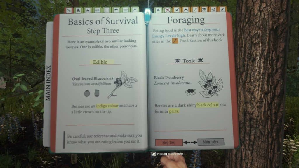 The Forest Survivalbook Berrys
