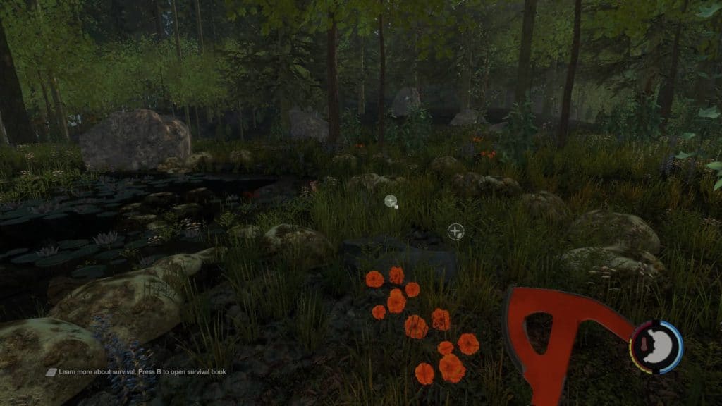 The Forest - Pflanzen mit orangenen Blüten
