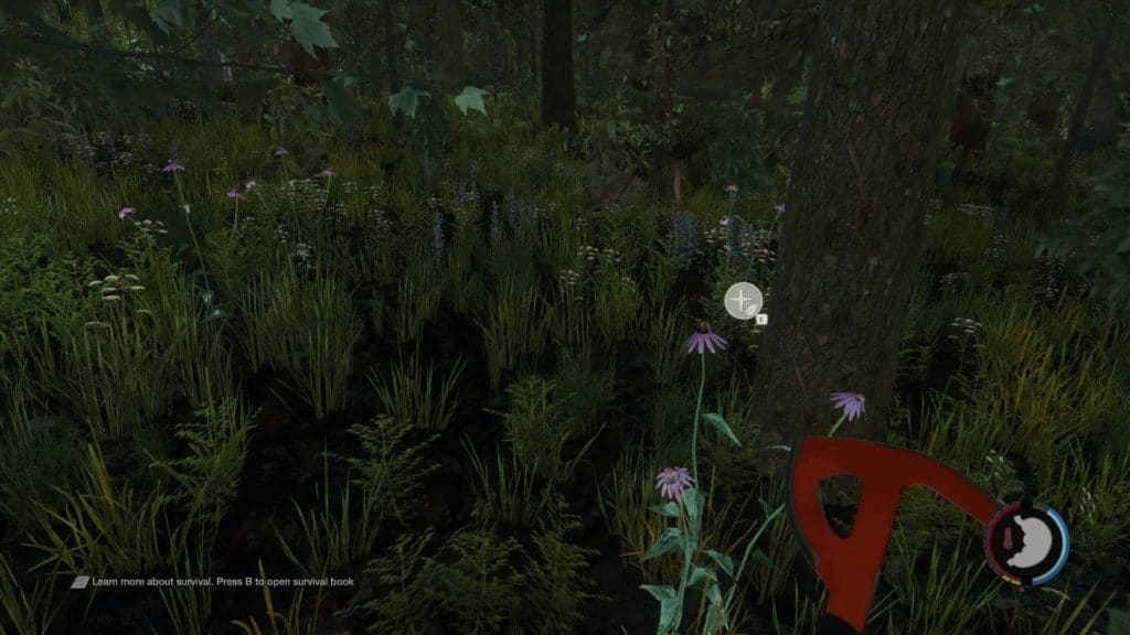 The Forest - Lila Blumen