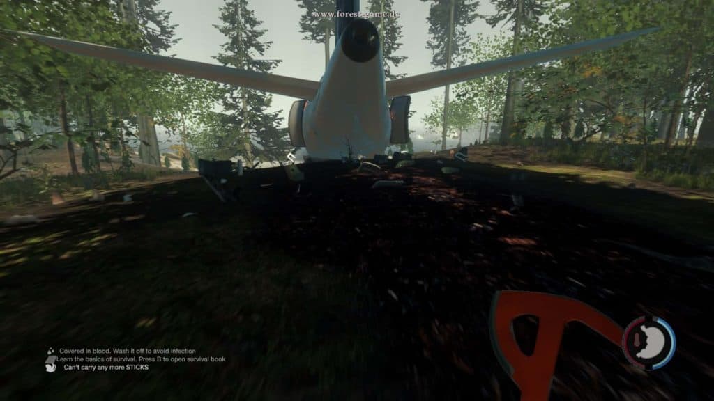 The Forest - Das Flugzeug wird von vielen Kleintieren bewohnt. Ein Abstecher wird dem Magen sicherlich gut tun.