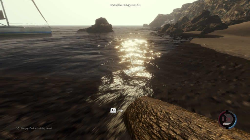 The Forest - Fische sind schnell gefunden.