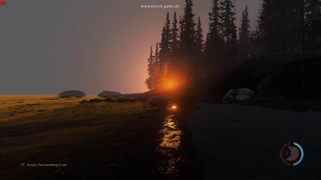 The Forest - Sonnenaufgang