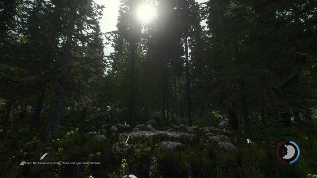Unoffocial Patch V1.2 für TheForest 0.04B - Ohne Nebel