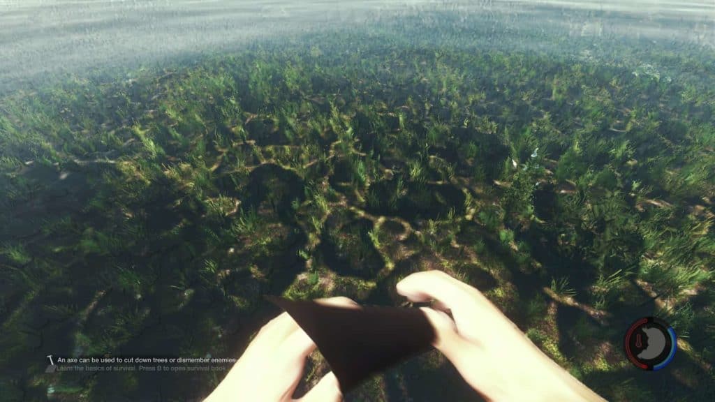 The Forest 0.06 - auch unter dem Wasser sieht es wieder angenehmer aus.