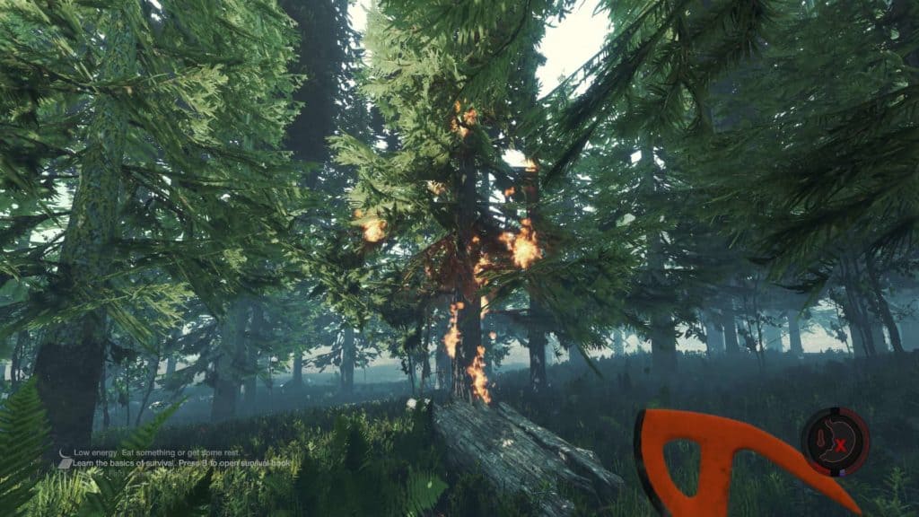 The Forest - brennende Blätter