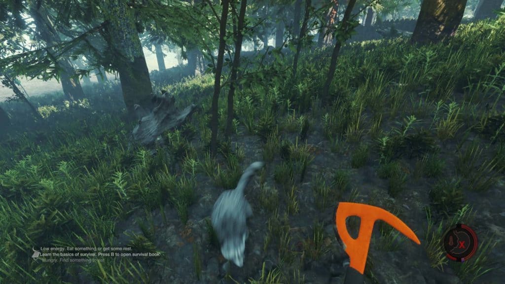 The Forest Version 0.07 - Waschbär auf der Flucht