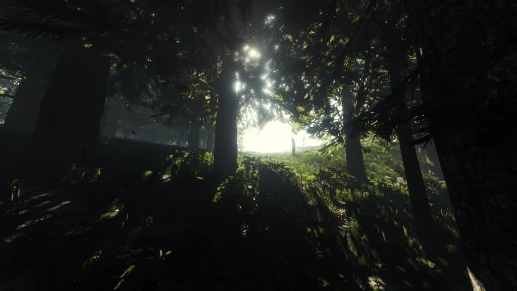 The Forest überzeugt mit einer atemberaubenden (Global Illumination) Globalen Beleuchtung. Es sieht wunderschön aus, wenn das Licht durch die Blätter scheint.