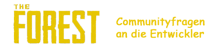 Communityfragen an die Entwickler