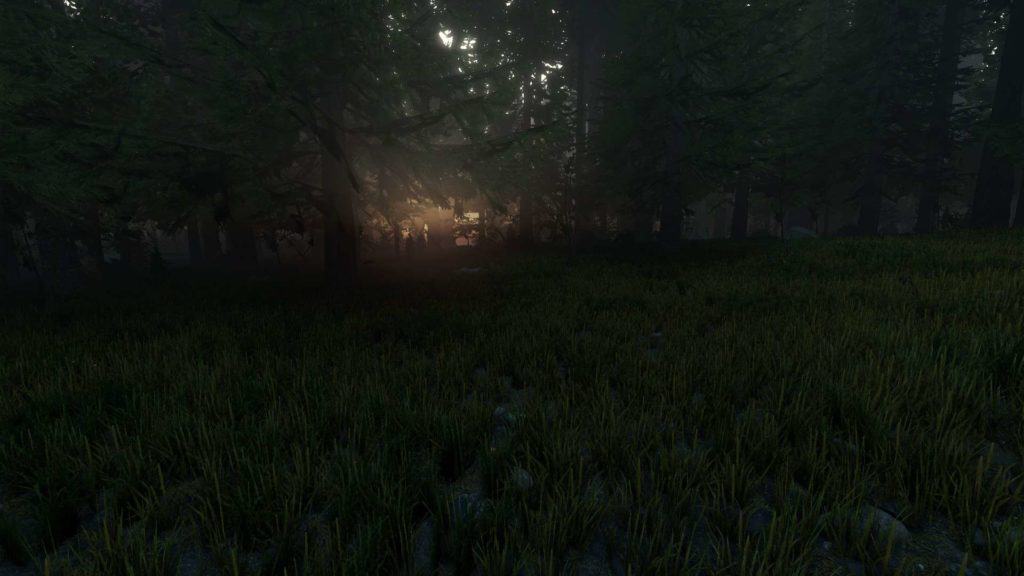 The Forest 0.11. Höchste Grasdichste, höchste Grafikeinstellungen. Sonnenaufgang.