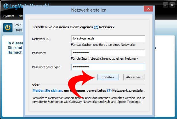 Bild 4: Die Netzwerkdaten eingeben