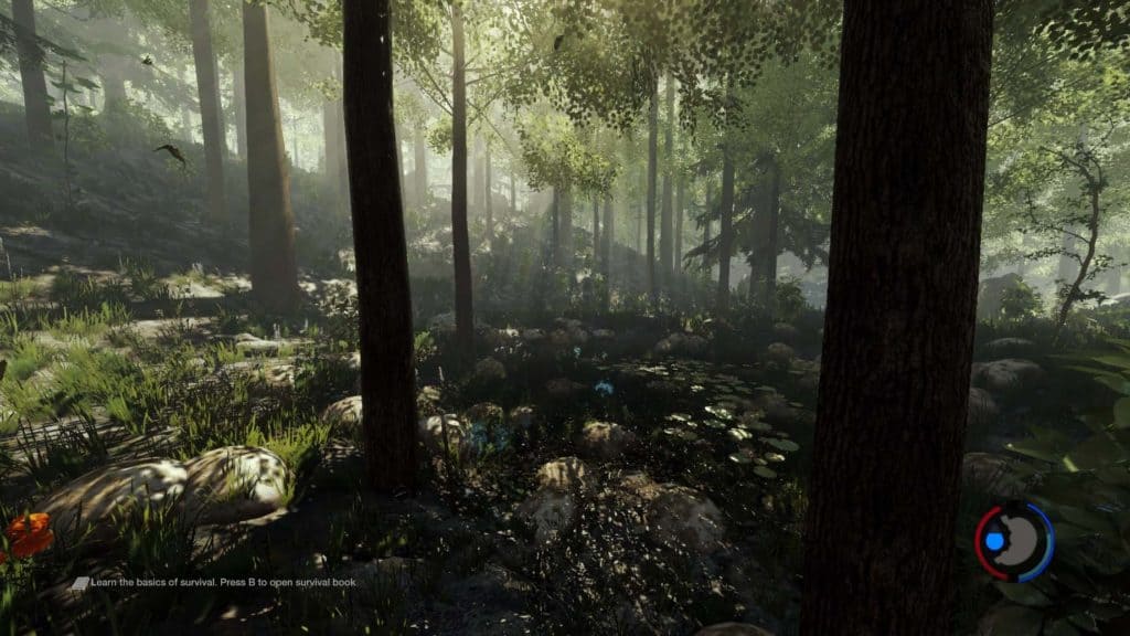Teich im Wald in der Version 0.17