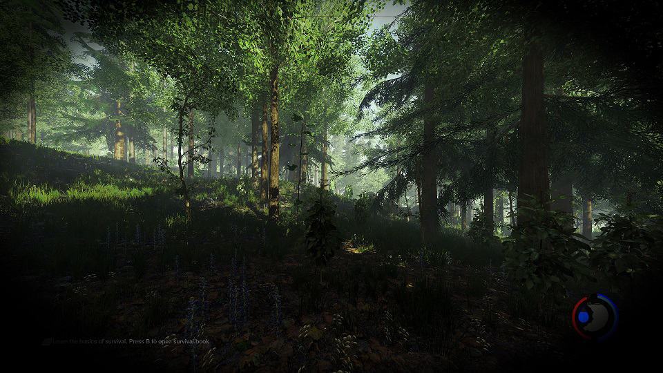 Background Preview Image