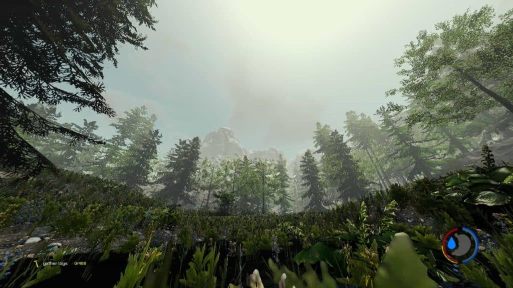 The Forest - Berge in Version 0.21c