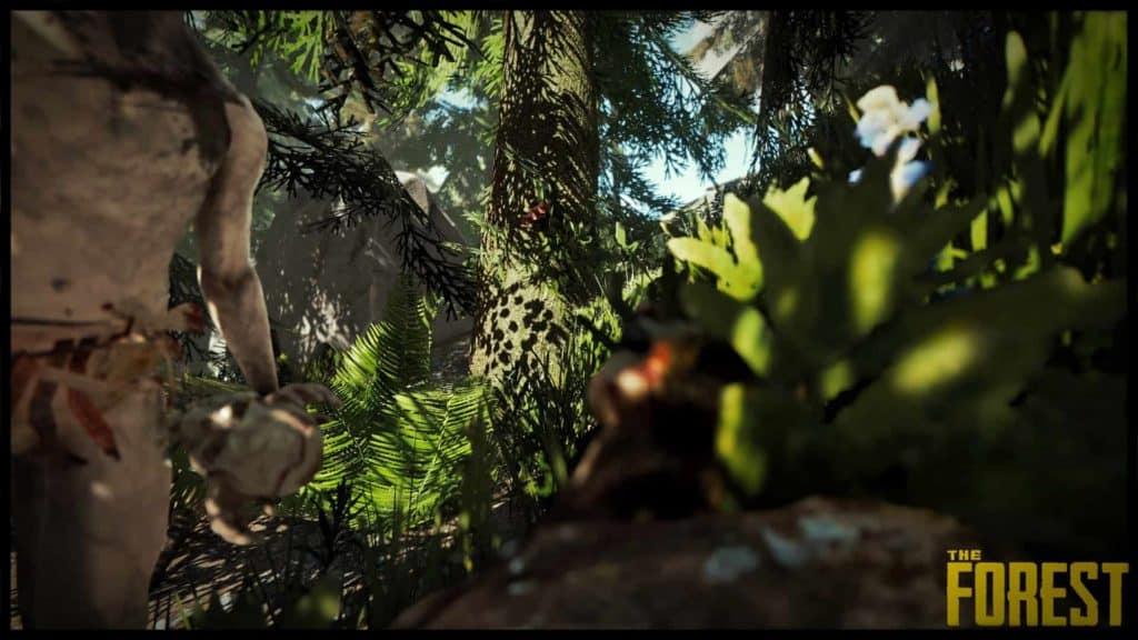 The Forest Wallpaper 5
