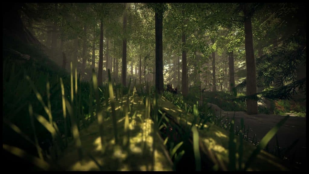 The Forest Wallpaper 10