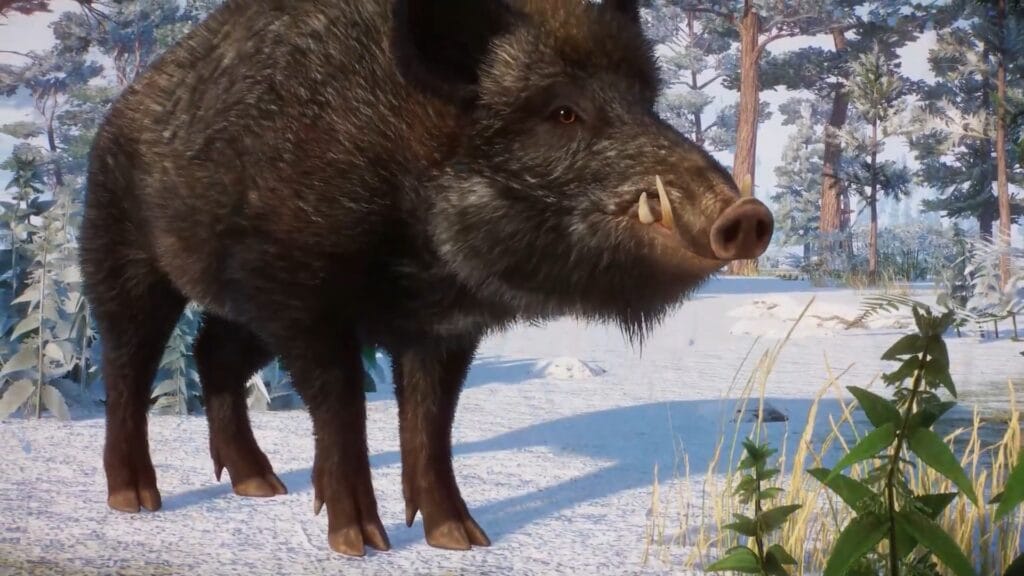 Wildschweine sind ab sofort auch mit dabei