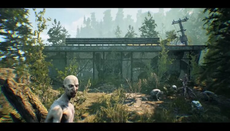 Zombie im Bild