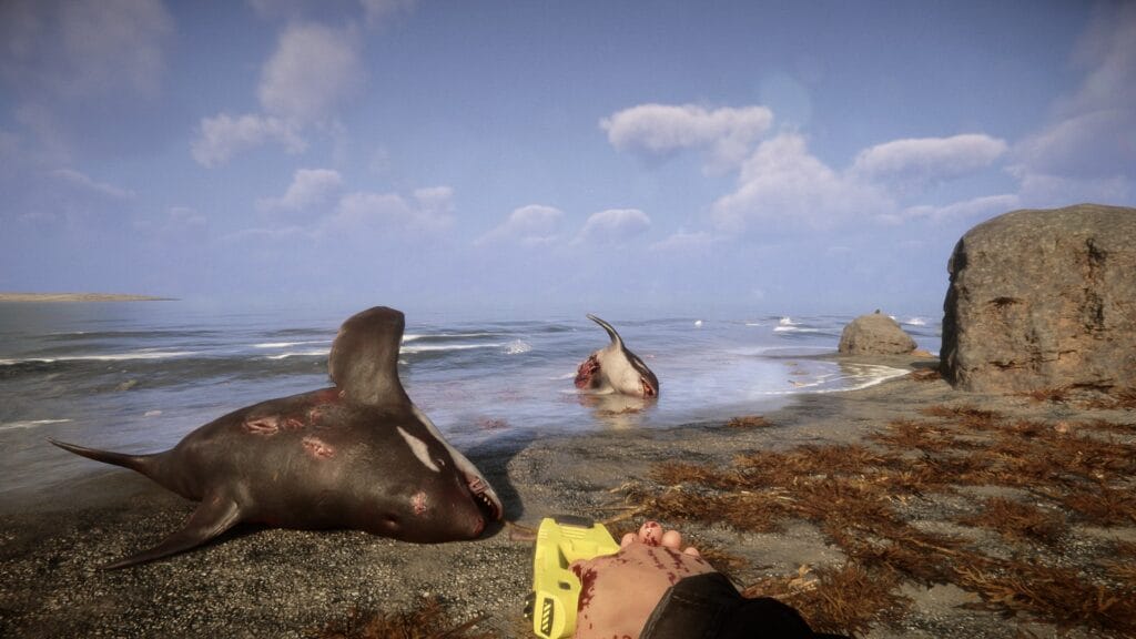 Tote Wale am Strand