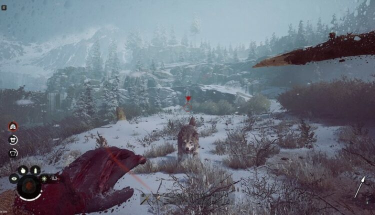 Winter Survival - Ein Wolf greift an