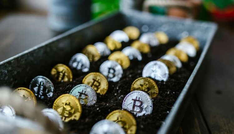 Gold and silver Bitcoin coins growing in soil, symbolizing investment and growth potential., tags: spartans crypto und - pexel