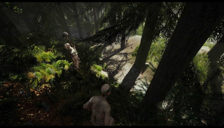 The Forest Background