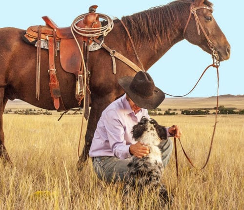 cowboy-mit-pferd-und-hund