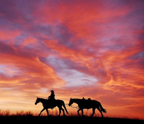 red-dead-redemption-2-battle-royale-mode