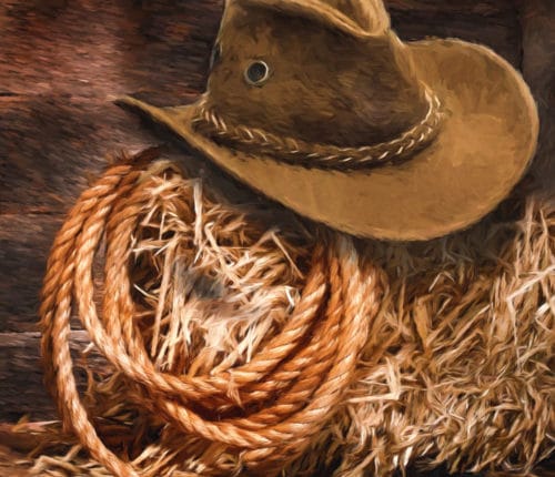 red-dead-redemption-2-pc-cowboyhut-stroh-lasso