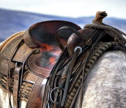 red-dead-redemption-preview